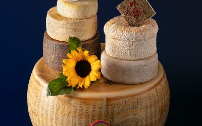 El delicioso legado: Rastreando el origen histórico del queso